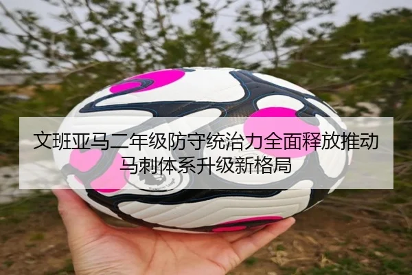 文班亚马二年级防守统治力全面释放推动马刺体系升级新格局